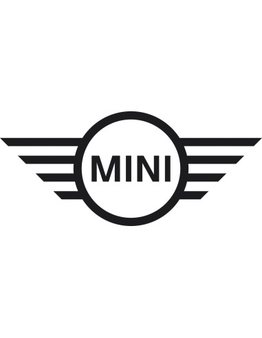 Collecteur d'echappement pour MINI N18 John Cooper Works  