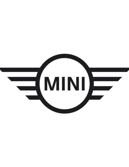 Catalyseur d'origine pour MINI Cooper S N18 18307599436
